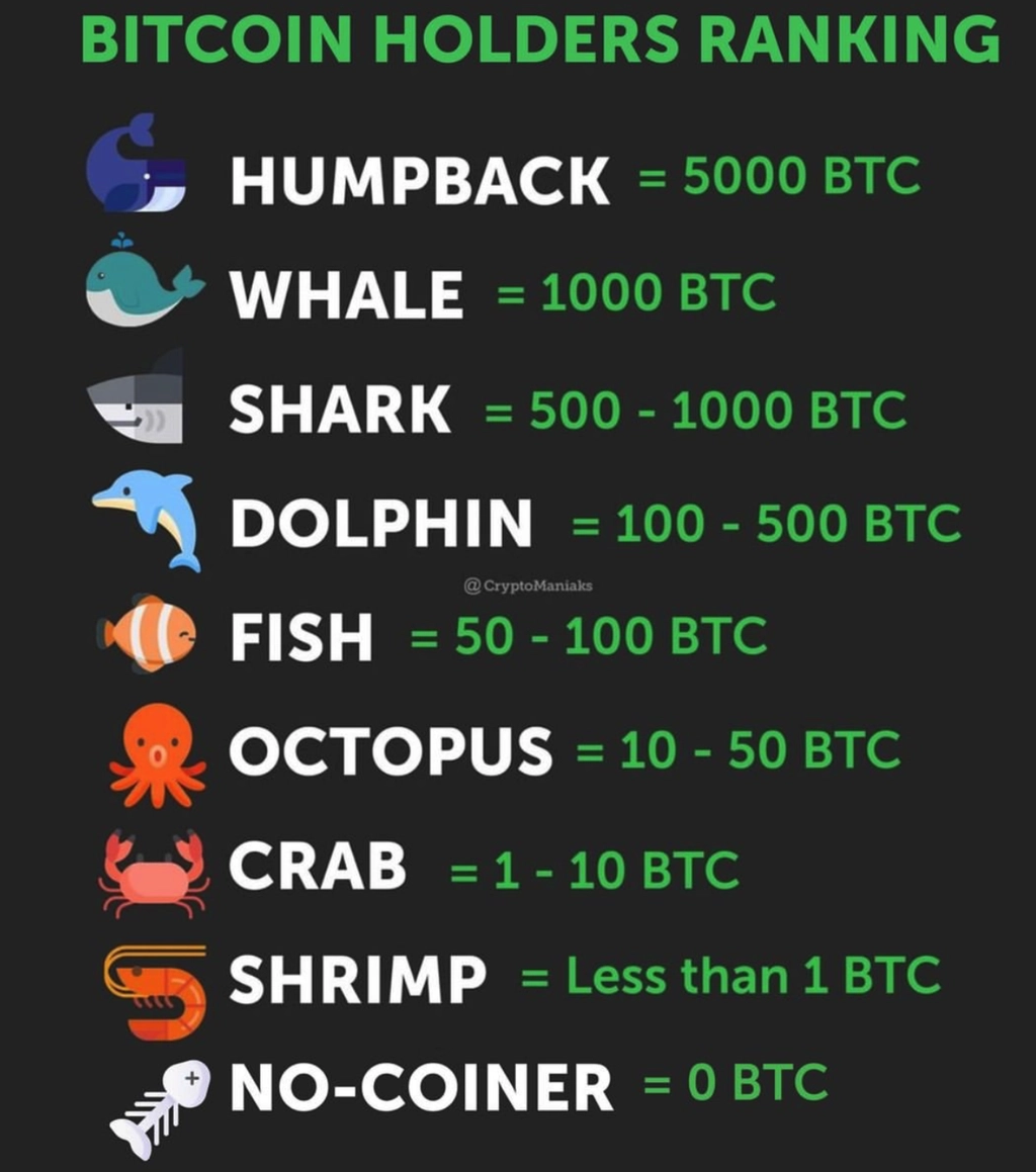 比特币持有者等级划分